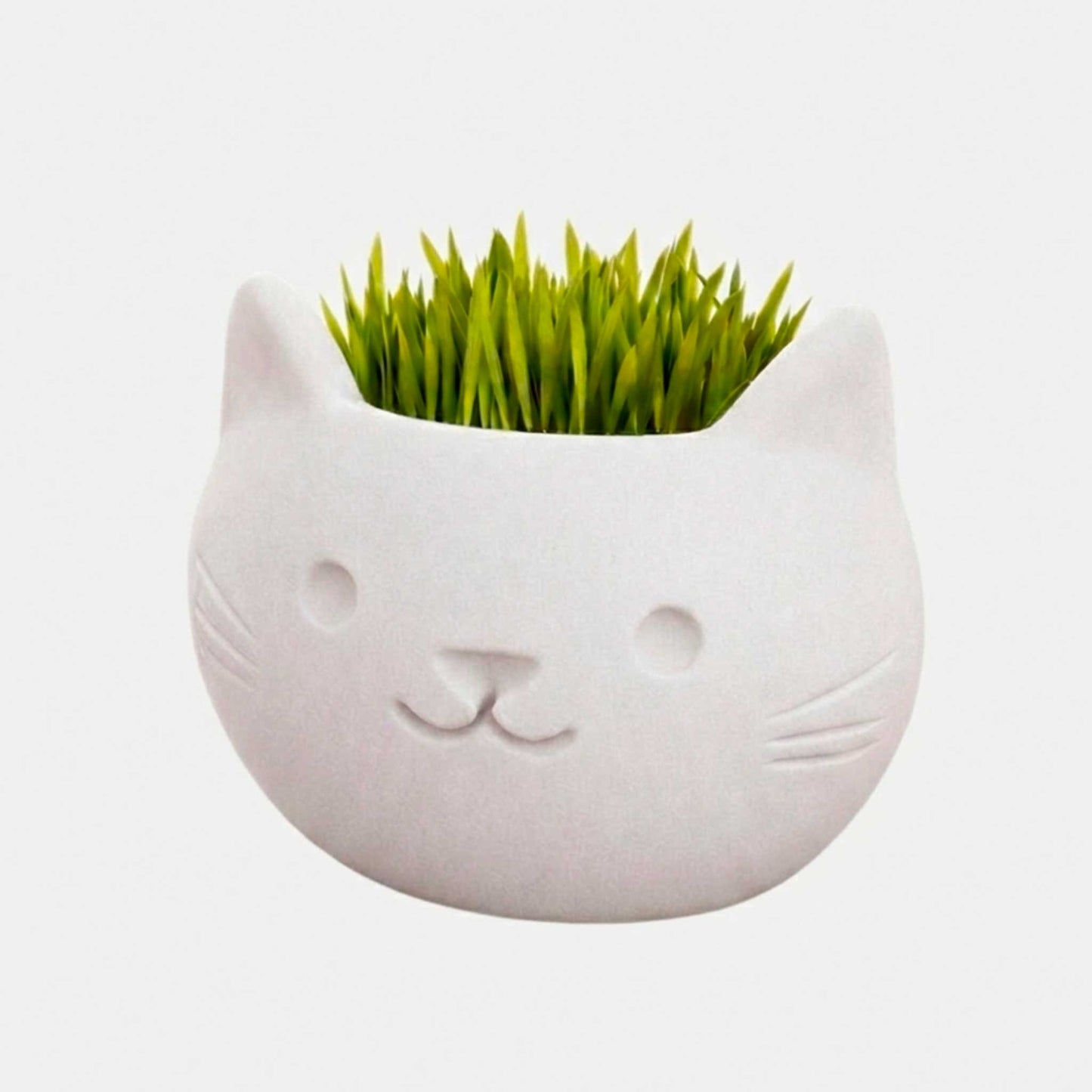 Macetas Gato