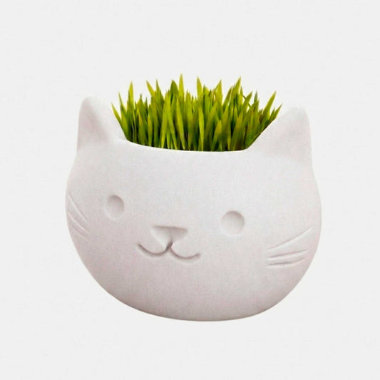 Vaso de Planta Gatinho