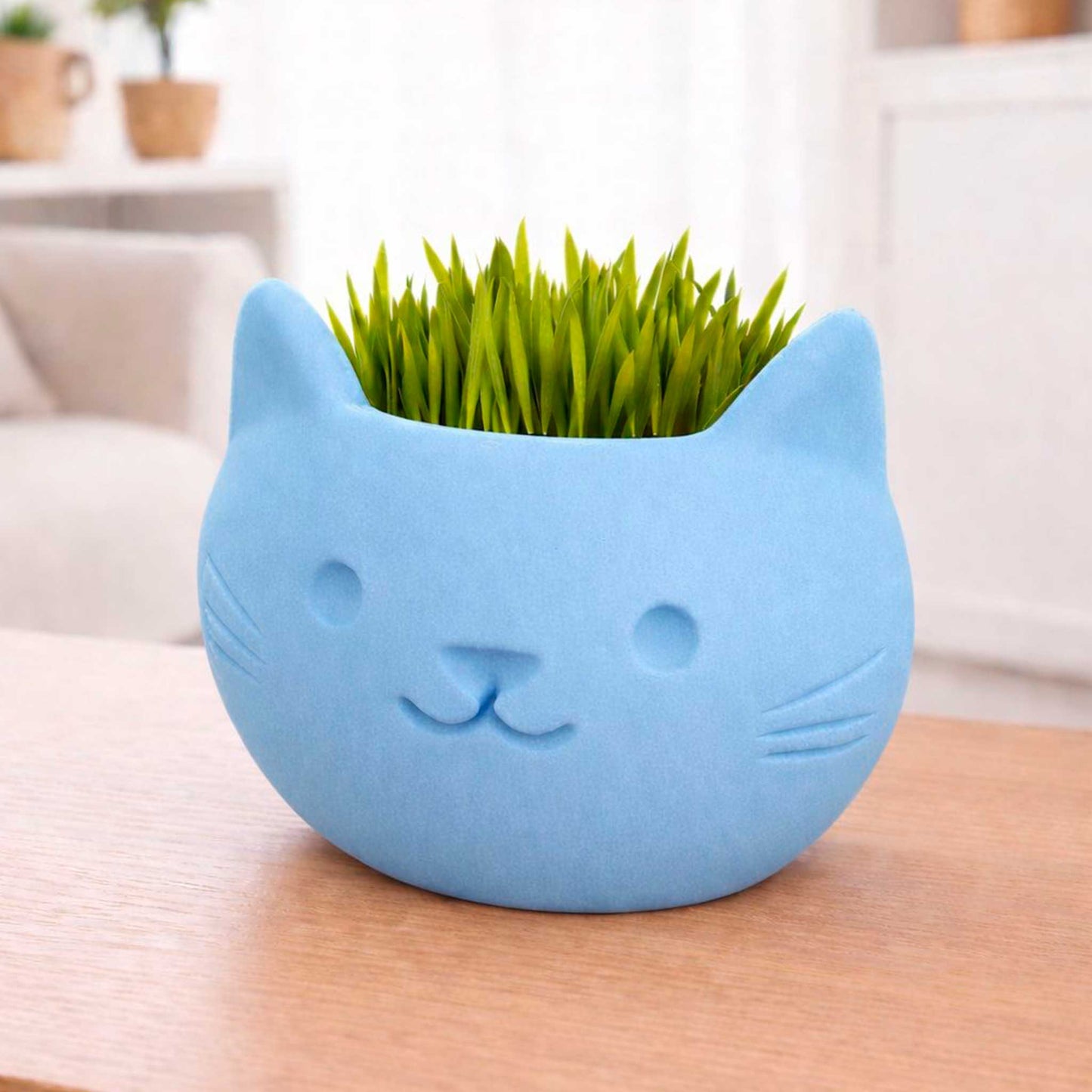 Macetas Gato