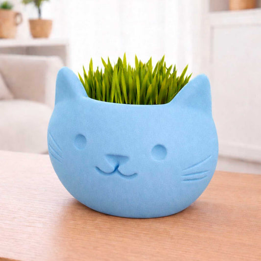 Vaso de Planta Gatinho