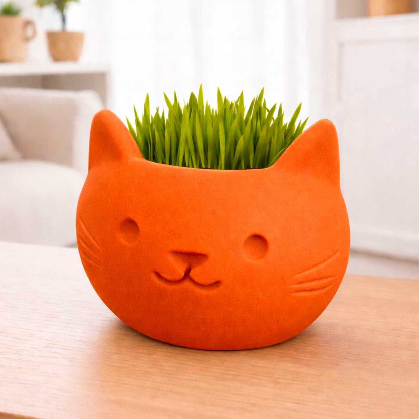 Macetas Gato