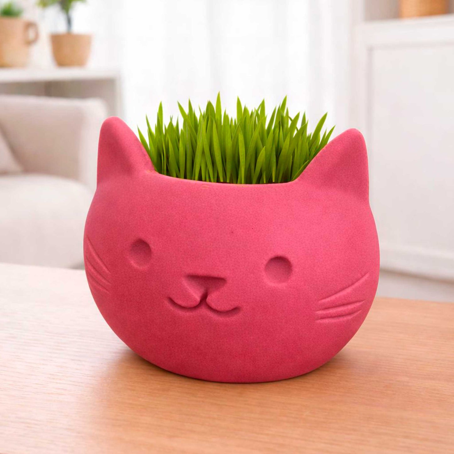 Macetas Gato